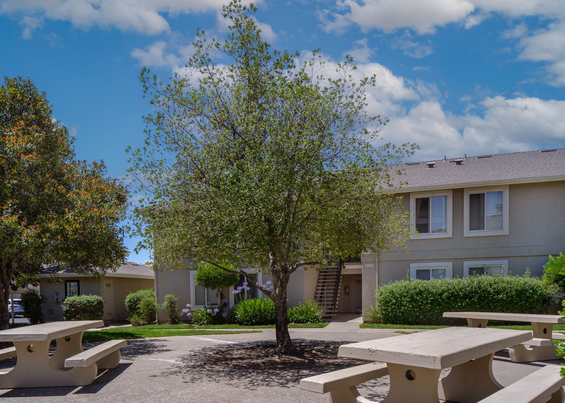 Picnic tables set beneath a mature tree in a landscaped courtyard at River Run Apartments